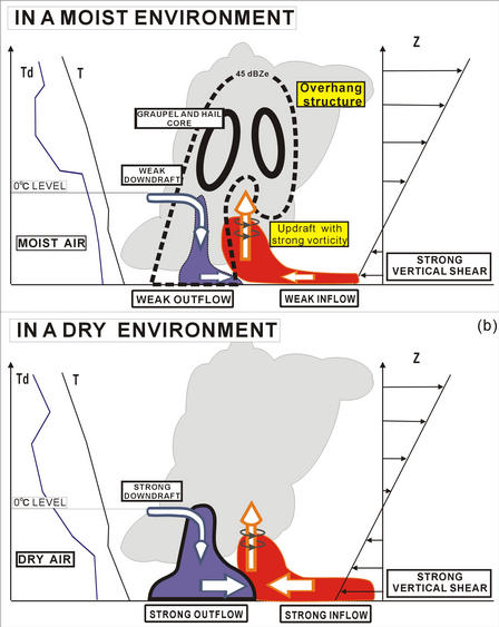 fig5