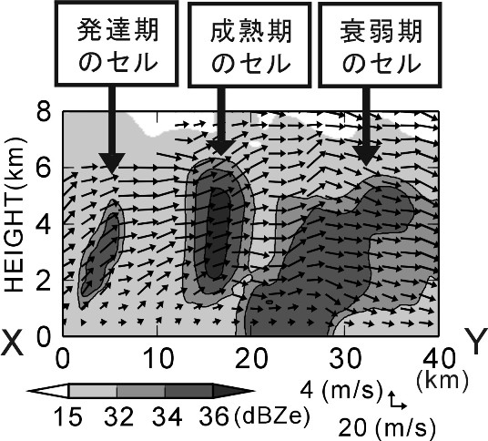 fig5