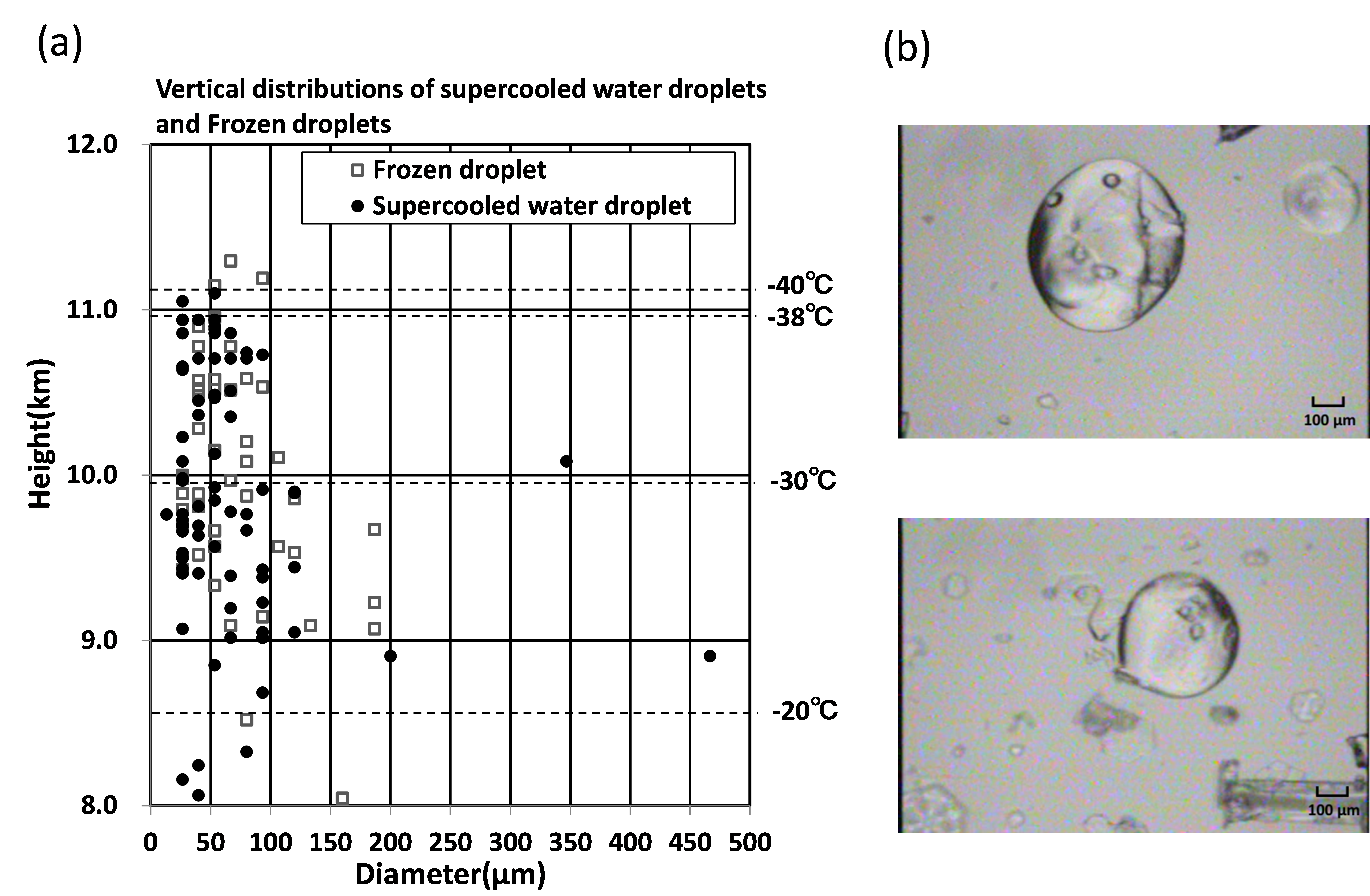 fig06